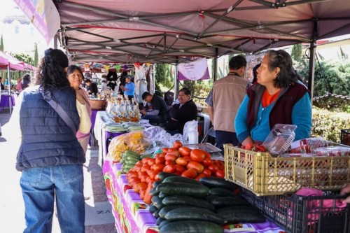 Disminuye pobreza laboral en Tlaxcala: INEGI