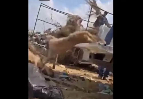 Video genera indignación ciudadana