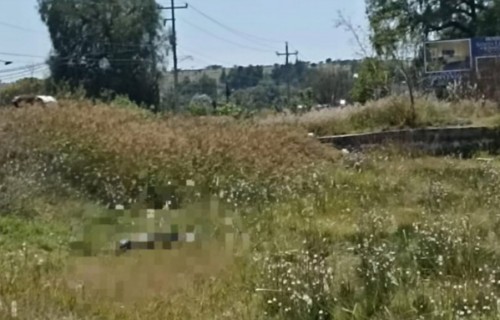 Hallazgo en zona despoblada de Tecali de Herrera