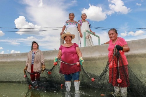 Conapesca fortalece el papel de las mujeres en la acuacultura