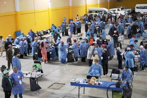 Chiautempan impulsa jornada masiva de esterilización de perros y gatos