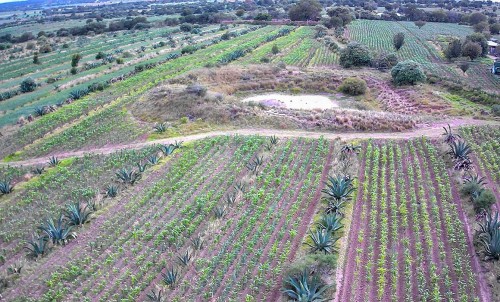 Tlaxcala recibe reconocimiento mundial por su ancestral sistema Metepantle