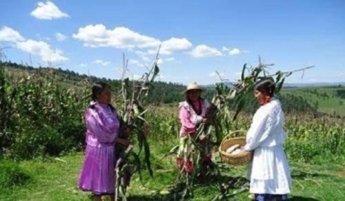 Tlaxcala impulsa a mujeres rurales con más de 390 millones en 4 años