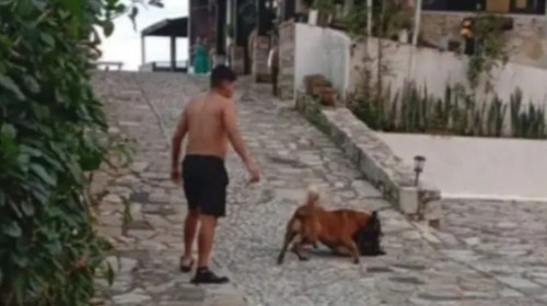 Suceso en San Miguel Tzinacapan