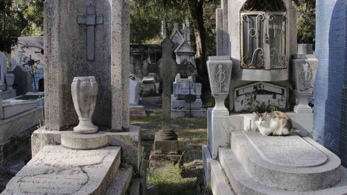 Panteón Municipal de Puebla al borde de la saturación: solo quedan 78 fosas disponibles