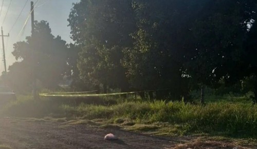 Hallazgo macabro en Izúcar de Matamoros