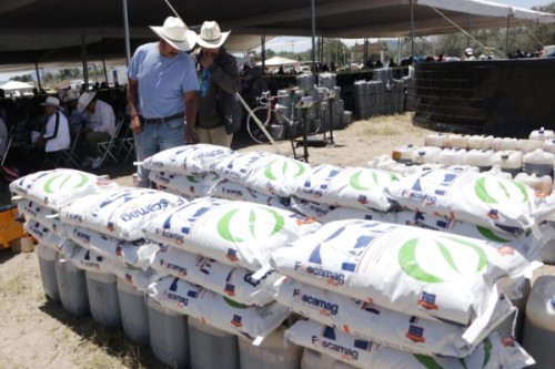 Gobierno de Puebla creará empresa para sistema de bicicletas públicas 