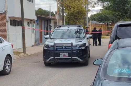 Asesinato en Viveros del Valle