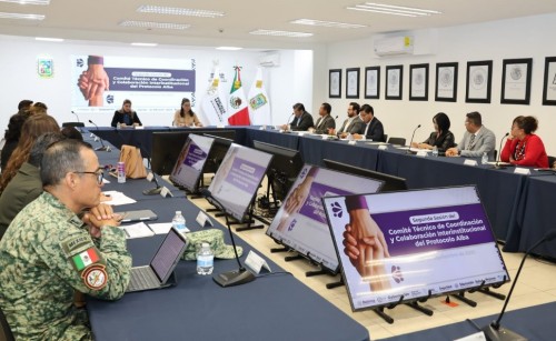 Fortalecimiento del Protocolo Alba en Puebla
