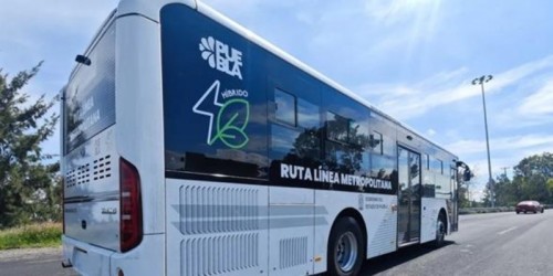 Hasta 48 robos a bordo de RUTA se reportan cada semana
