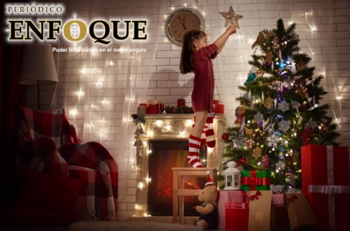 ¿Por qué se usa un Pino como Árbol de Navidad?  