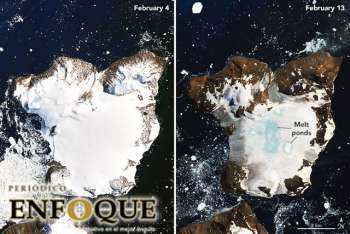 NASA: La Antártida pierde un 20% de su nieve estacional en pocos días.  