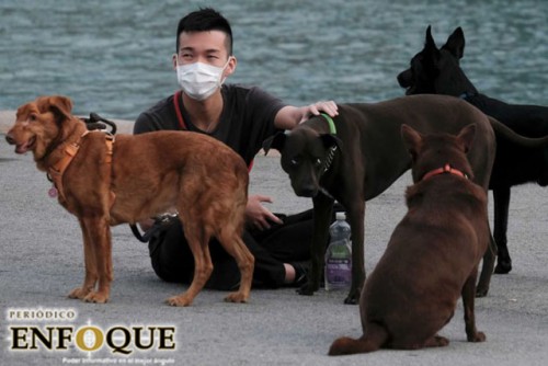 China prohíbe la crianza de perros para consumo humano