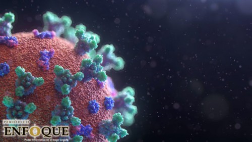 ¿Cómo adquieres inmunidad ante coronavirus después de enfermarte?