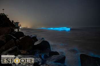 Bioluminiscencia en el océano pacífico 