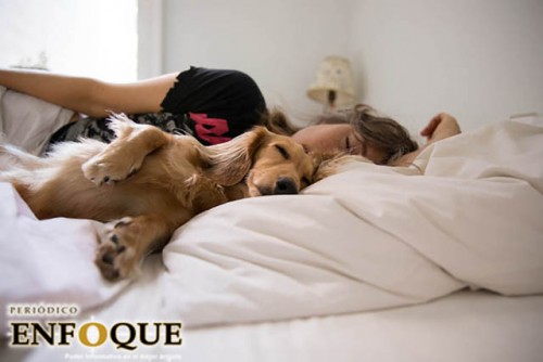 5 curiosidades sobre los sueños 