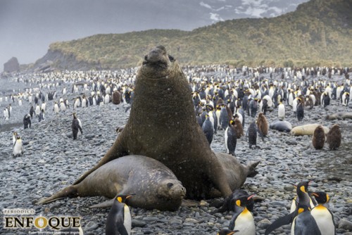 El Iceberg más grande del mundo está a punto de chocar contra un refugio de pingüinos 
