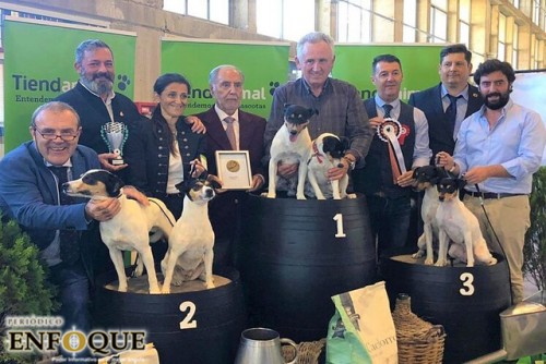 Declaran patrimonio cultural al bodeguero andaluz, perro guardián de las barricas de vino jerezanas