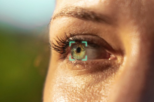 INAI prepara acción de inconstitucionalidad contra el padrón de telefonía móvil