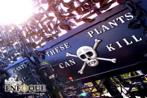 Este jardín en Reino Unido tiene plantas asesinas 