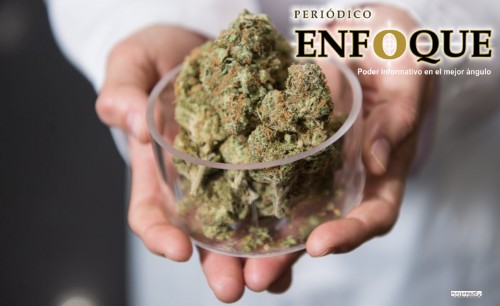 ¿Una persona puede morir por sobredosis de Marihuana?