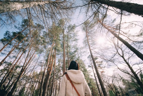 Por qué los árboles podrían frenar el número de muertes por cáncer en el mundo