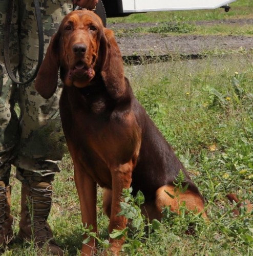 Ella es 'Max', la heroína de la Marina que encontró a Caro Quintero