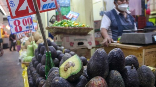 ¿Por qué pagas por el aguacate mucho más de lo que gana el productor? Aquí te decimos