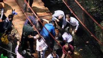 Abren carpeta de investigación por el colapso del puente colgante en Cuernavaca