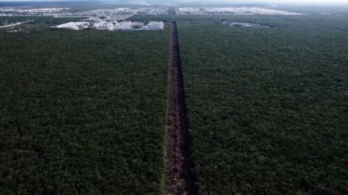 Ordenan suspensión definitiva del tramo 5 del tren maya hasta resolución de juicio 