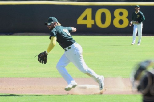 Pericos de Puebla va por la revancha ante Diablos Rojos 