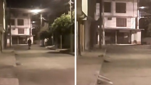 Presunto caballo “fantasma” aterroriza las calles con sus cabalgatas nocturnas (Vídeo)