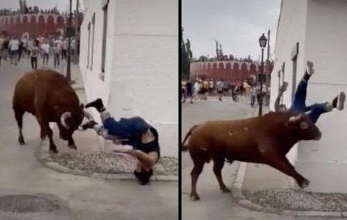 Toro embiste a una mujer distraída con el celular en evento de tauromaquia (Vídeo)