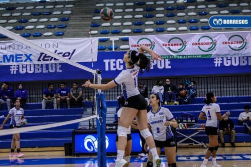 Borregos Puebla regresa a la actividad en voleibol y sueña con el Final Four 