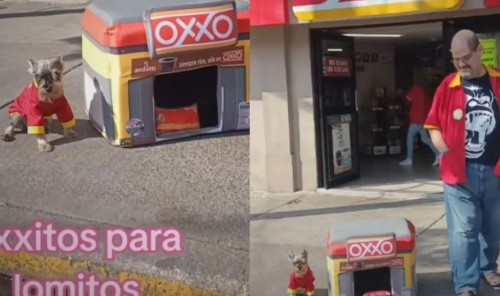 Crean “Oxxitos” para mascotas y son bien recibidos por los usuarios (Vídeo)