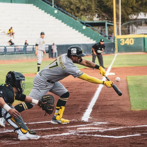 Pericos de Puebla por fin levantó el vuelo y ganó en Aguascalientes lo