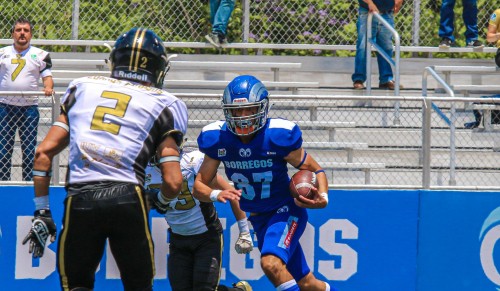 Borregos Puebla a la final de Onefa 