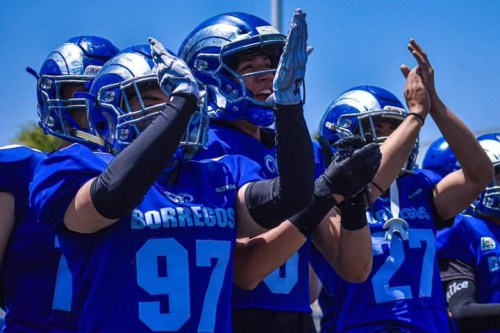 Gran temporada de Borregos de Puebla en OnefaGran temporada de Borregos de Puebla en Onefa