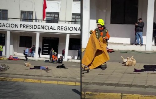 Captan a perrito callejero haciéndose "el muertito" en un simulacro, video se hace viral