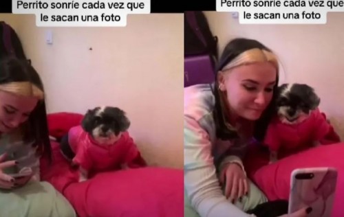 Perrito posa y "sonríe" cuando le toman foto, acapara la atención en redes (Vídeo)