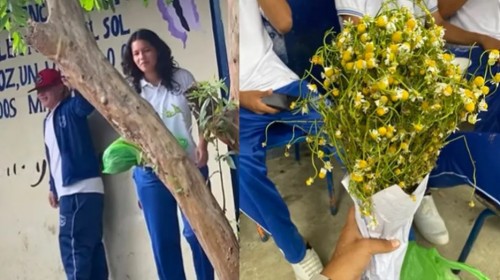 "También son amarillas": Sorprenden a joven con ramo de manzanilla en lugar de flores amarillas (Vídeo)