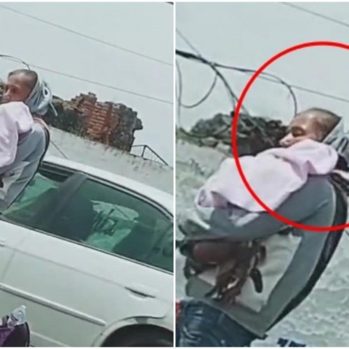 Captan a mujer pidiendo limosna con un perro, lo hace pasar como un bebé (Vídeo)