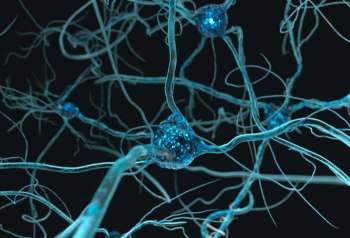 Presentan la primera neurona artificial convertida en chip