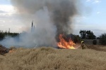 Bomberos de Protección Civil Cholula sofocan incendio en terreno baldío