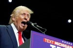 Donald Trump afirma que cárteles de México pueden quitar al presidente en minutos 