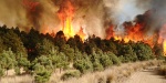 AMLO no descarta que incendios forestales sean provocados por inmobiliarias 