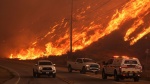 Incendios en California: más de tres semanas de devastación contenida