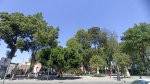Tlaxcala entre los estados con menor nivel de Paz Positiva en México
