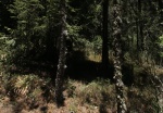  Inauguran Centro de Promoción Ambiental "Tepachcatl" en Tlaxcala para Combatir Incendios Forestales