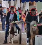 Foto: Cortesía Demanda OCPA intervención de PROPAET por maltrato animal en Tlaxcala